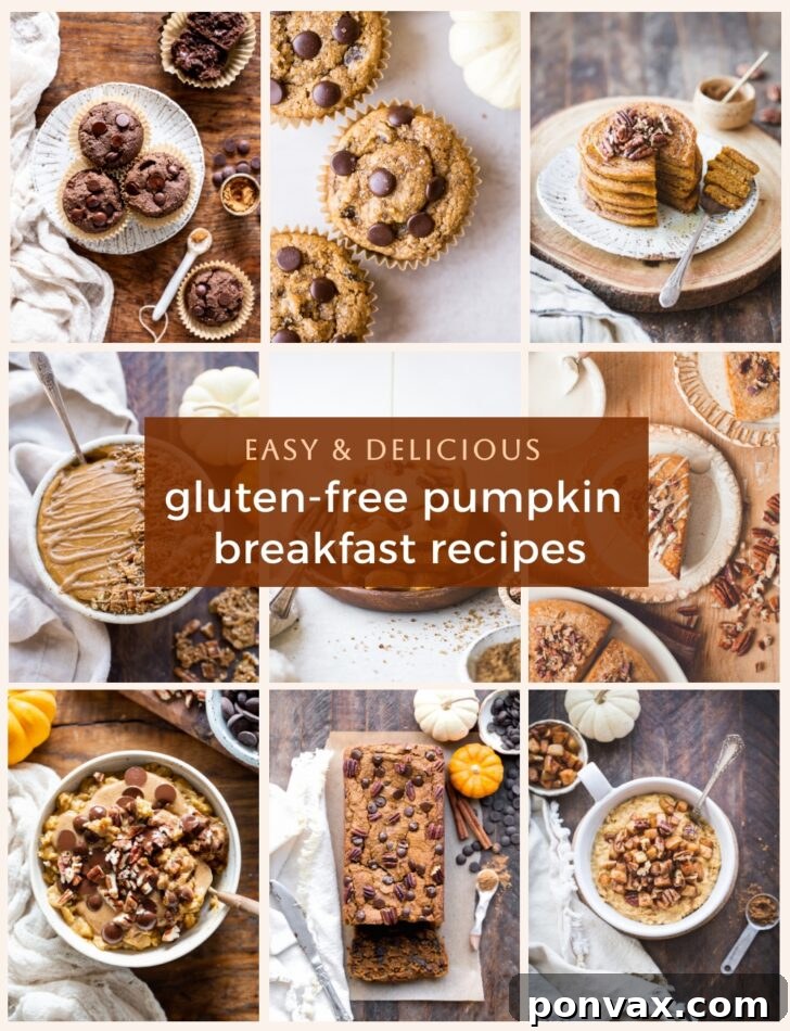 Assortment of gluten-free pumpkin breakfast dishes