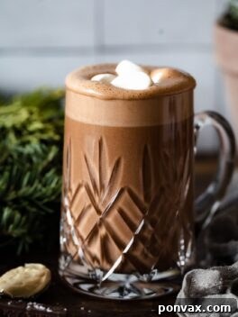 A vibrant, close-up image of the Salted Cashew Hot Chocolate, garnished with a light topping, emphasizing its creamy texture and inviting appeal.