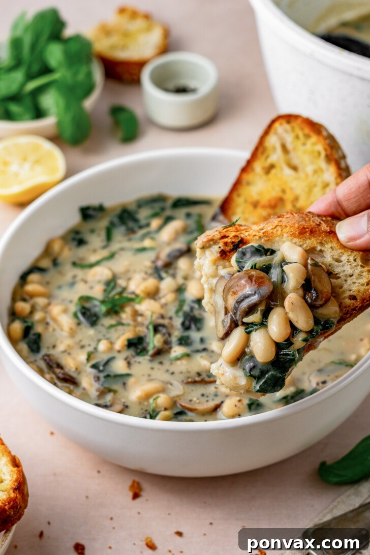 Wholesome One-Pot White Bean Mushroom Stew 3 Scooping up a spoonful of creamy vegan white bean mushroom stew with a piece of crispy sourdough bread, highlighting the rich texture.