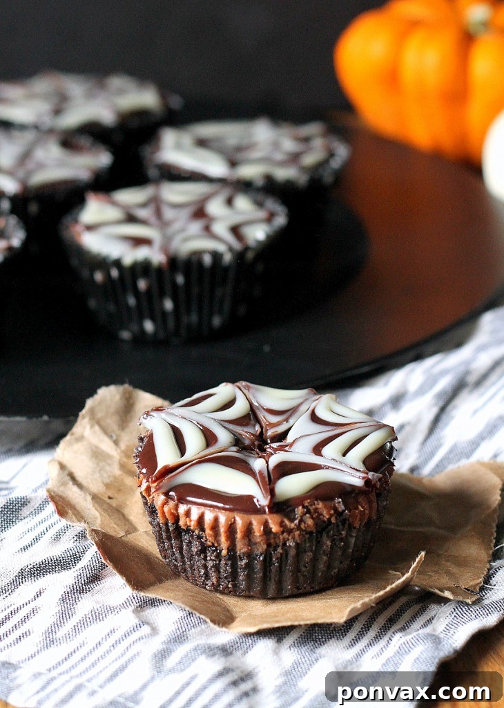 Death by Chocolate Mini Cheesecakes with spiderweb ganache, perfect for Halloween