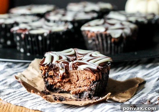 Oreo cookie crust for mini cheesecakes