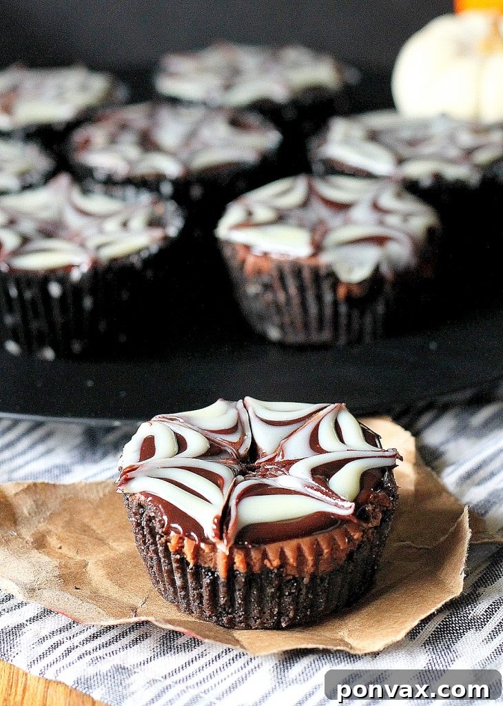 Death by Chocolate Mini Cheesecakes with festive spiderweb ganache for Halloween