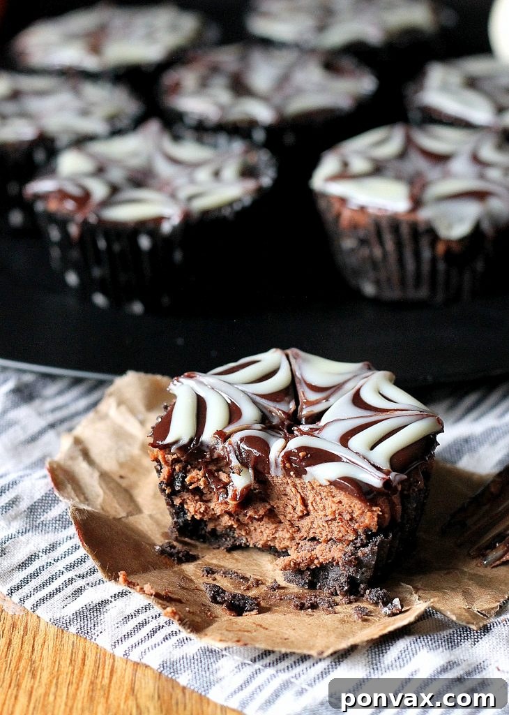 Close-up of a Death by Chocolate Mini Cheesecake, showcasing its rich texture
