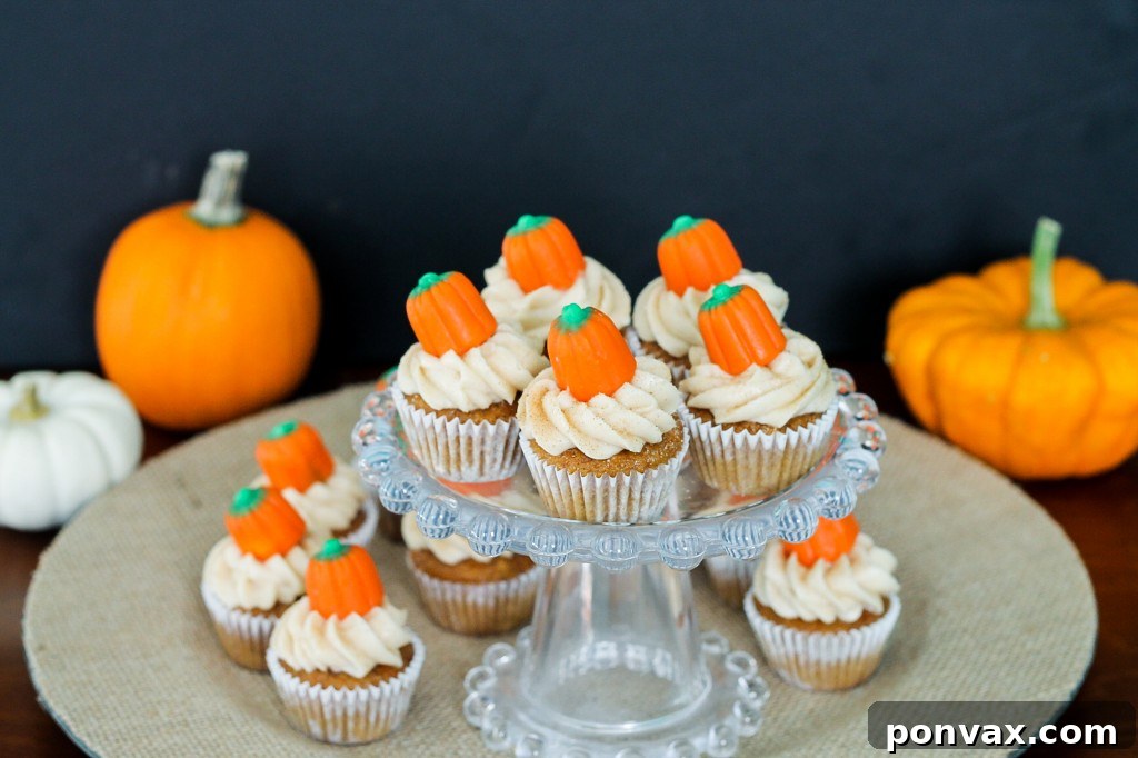A trio of Pumpkin Carrot Cupcakes, showcasing their vibrant color and fluffy texture.