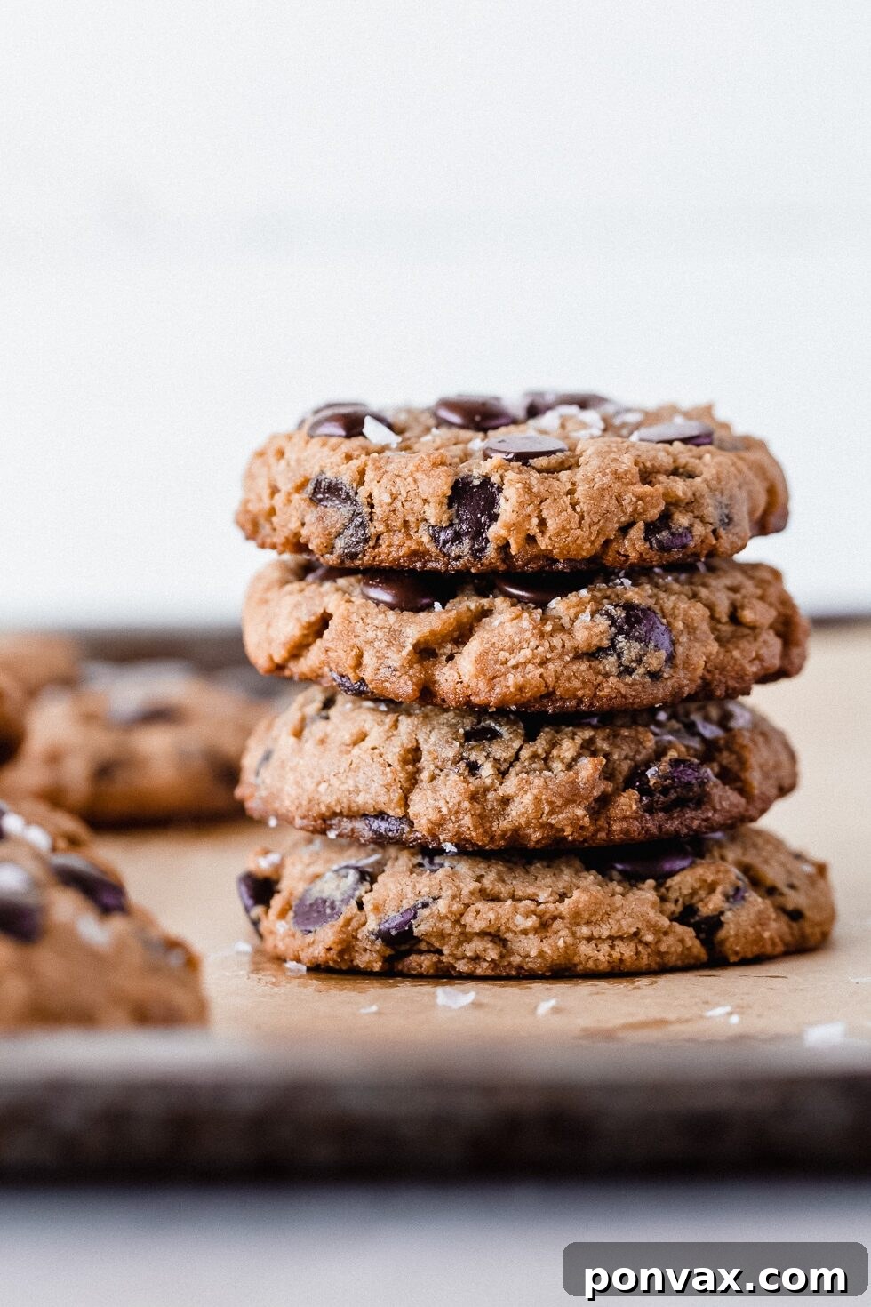 Mastering Cookie Preservation: Freeze for Freshness 3 img 52025 2