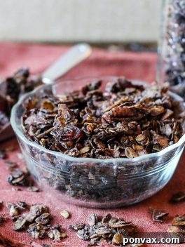 Gourmet Chocolate Cranberry Pecan Granola 2 Chunky Chocolate Cranberry Pecan Granola