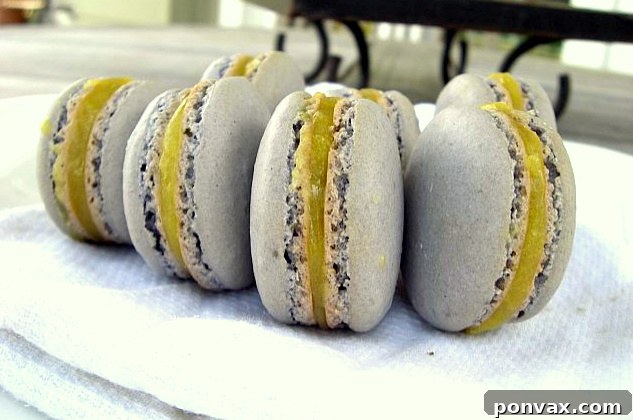 A close-up of delicate Lavender Macarons, showcasing their smooth shells and vibrant color, ready for their lemon curd filling.