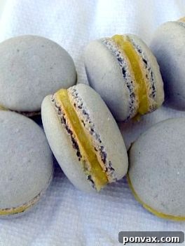 Lavender Macarons with Lemon Curd