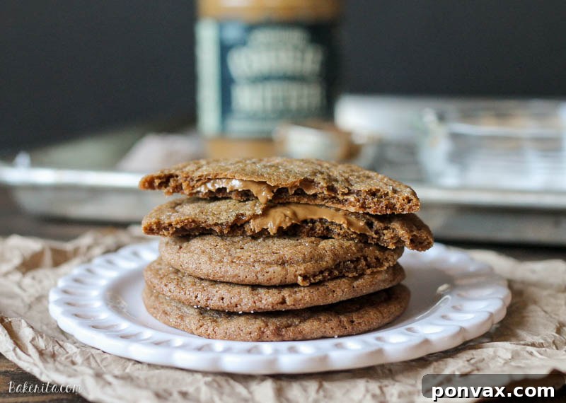 A final inviting image of the Cookie Butter Stuffed Soft Ginger Cookies, artfully arranged to highlight their golden color and delicious promise.