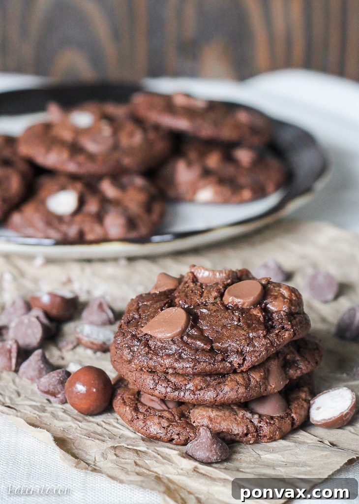 Malted Chocolate Crunch Cookies 2 These Chocolate Malt Ball Cookies are dense chocolate fudge cookies packed with malted milk powder, chocolate chips, and malt balls. These quick and easy treats will fly off the cookie plate!