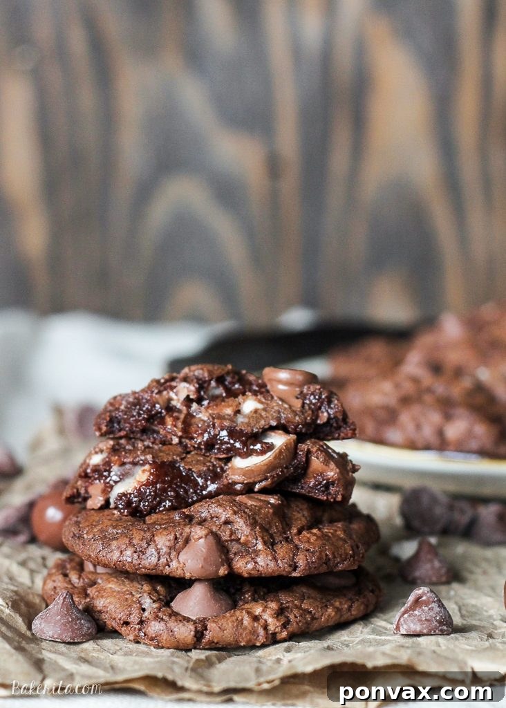 Malted Chocolate Crunch Cookies 3 These Chocolate Malt Ball Cookies are dense chocolate fudge cookies packed with malted milk powder, chocolate chips, and malt balls. These quick and easy treats will fly off the cookie plate!