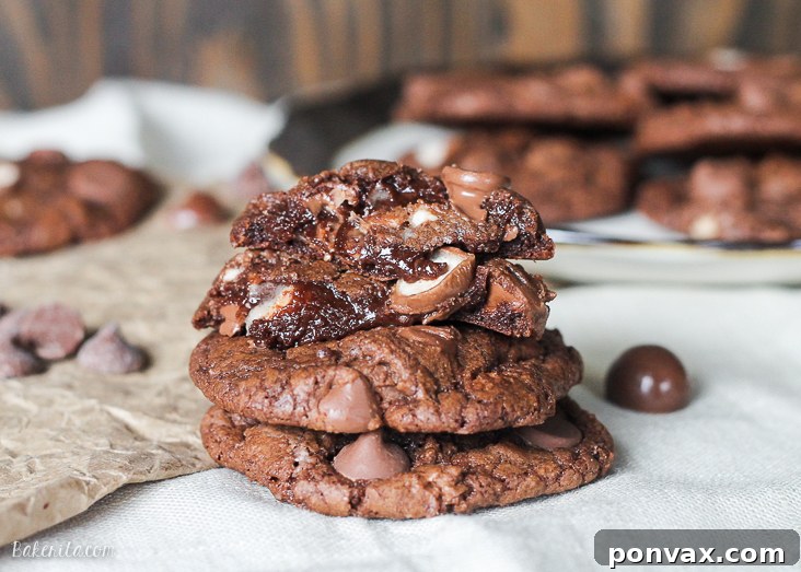 Malted Chocolate Crunch Cookies 4 These Chocolate Malt Ball Cookies are dense chocolate fudge cookies packed with malted milk powder, chocolate chips, and malt balls. These quick and easy treats will fly off the cookie plate!