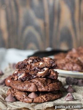 Malted Chocolate Crunch Cookies 6 Delicious Chocolate Malt Ball Cookies