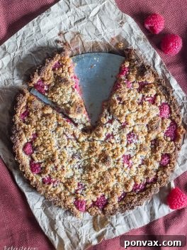 Paleo Gluten Free Vegan Raspberry Coconut Crumble Tart 6 Raspberry Coconut Crumble Tart