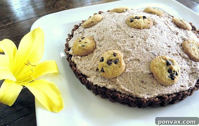 An easy 5-ingredient Chocolate Whipped Cream Tart with a chocolate chip cookie crust and a creamy, whipped chocolate filling, beautifully presented on a serving platter.
