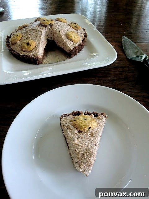 A close-up shot of the creamy whipped chocolate filling inside the cookie crust, garnished with extra cookie crumbles.