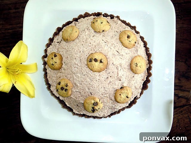 A top-down view of the easy 5-ingredient Chocolate Whipped Cream Tart, ready to be served, highlighting its smooth filling and crispy crust.