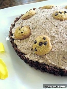 Final presentation of the 5 Ingredient Chocolate Whipped Cream Tart