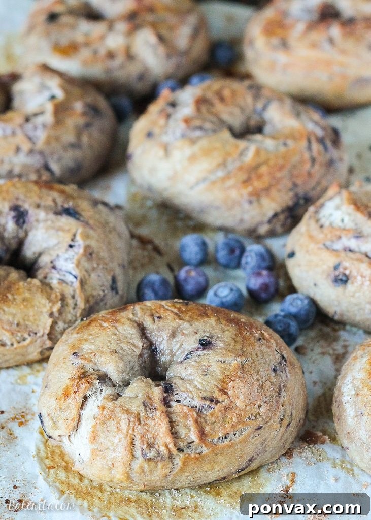Freshly baked homemade blueberry bagels with a hint of purple, ready for breakfast.