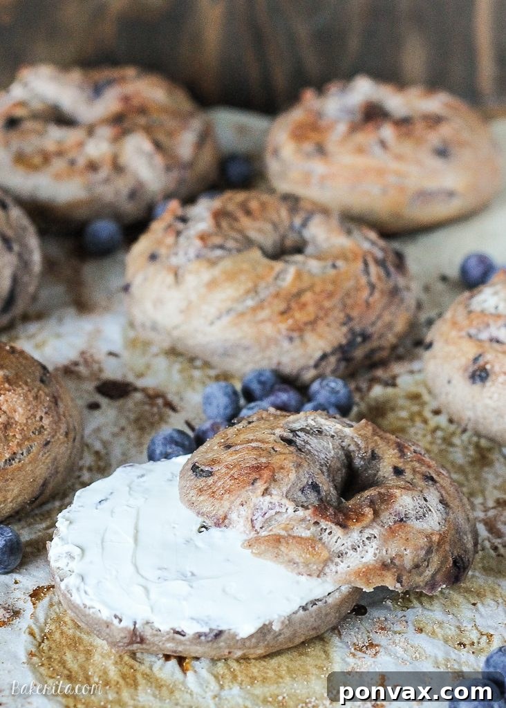 Close-up of golden brown blueberry bagels, perfectly toasted and ready to eat.