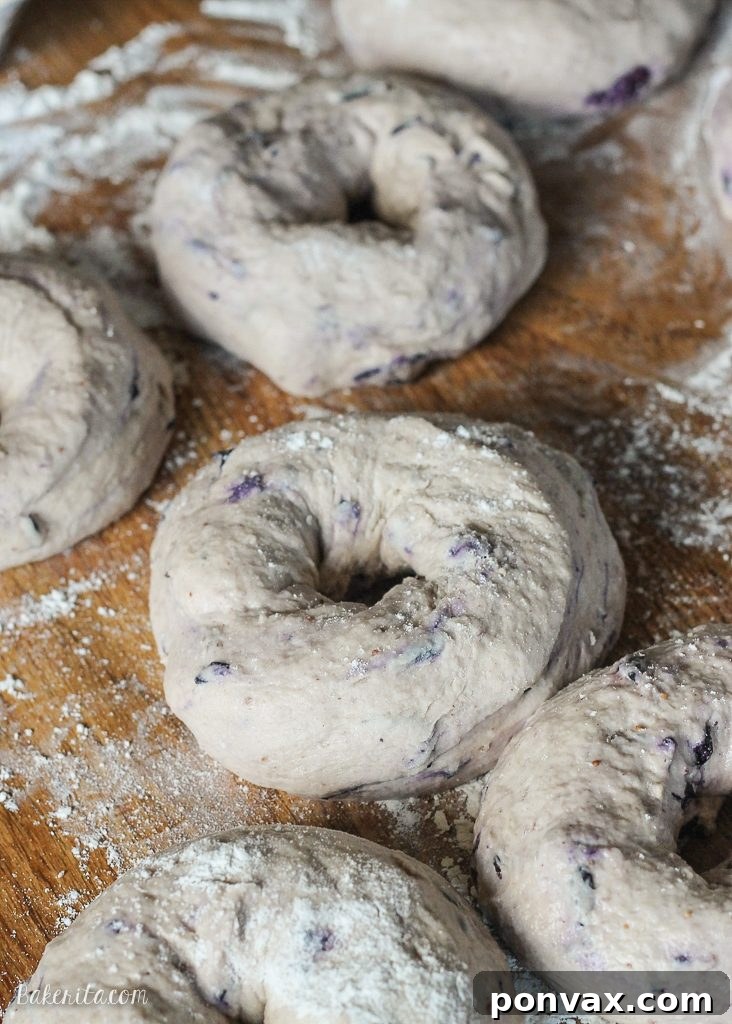 Raw blueberry bagel dough being kneaded in a stand mixer, showing its purple hue.