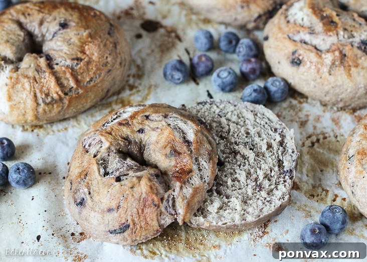 Boiled and topped blueberry bagels on a baking sheet, ready for the oven.