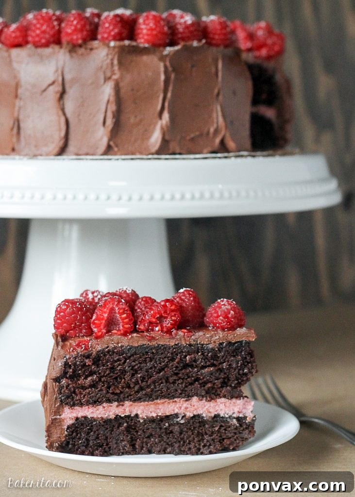 Raspberry Mocha Delight 4 Overhead shot of the full Mocha Raspberry Cake, showing the beautiful frosting and raspberry garnish.