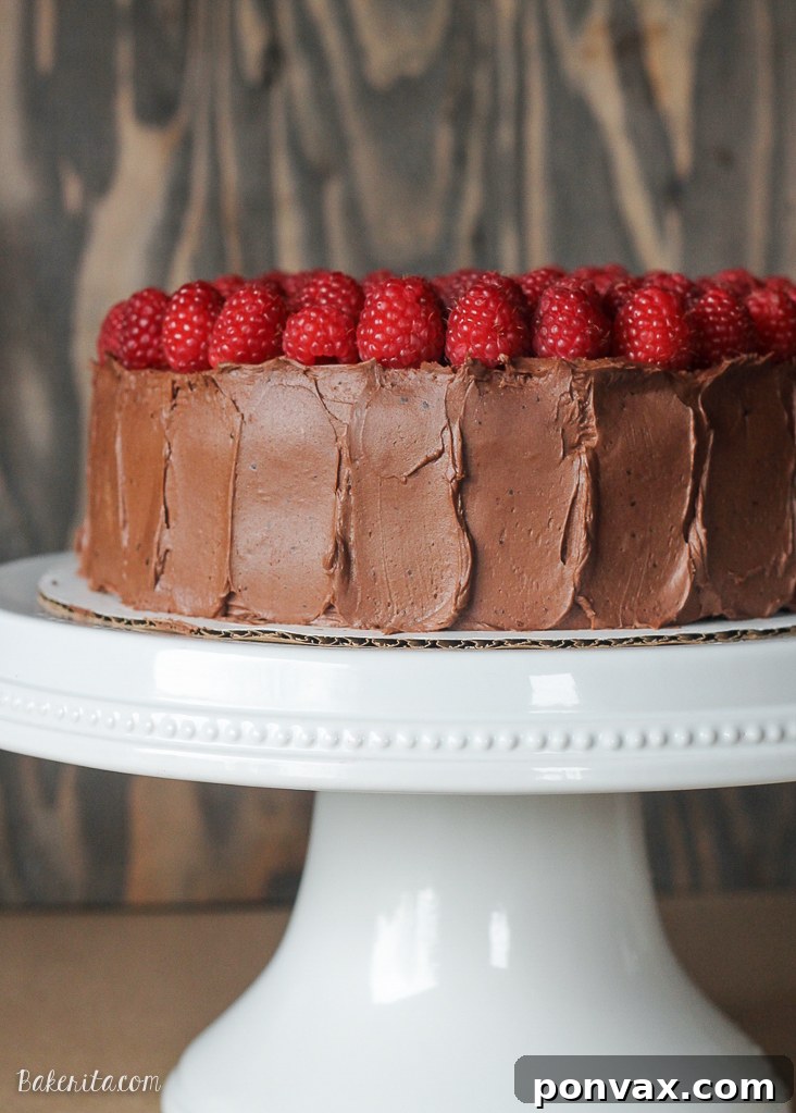 Raspberry Mocha Delight 5 Detailed view of the Mocha Raspberry Cake's frosting texture and fresh raspberry garnish.
