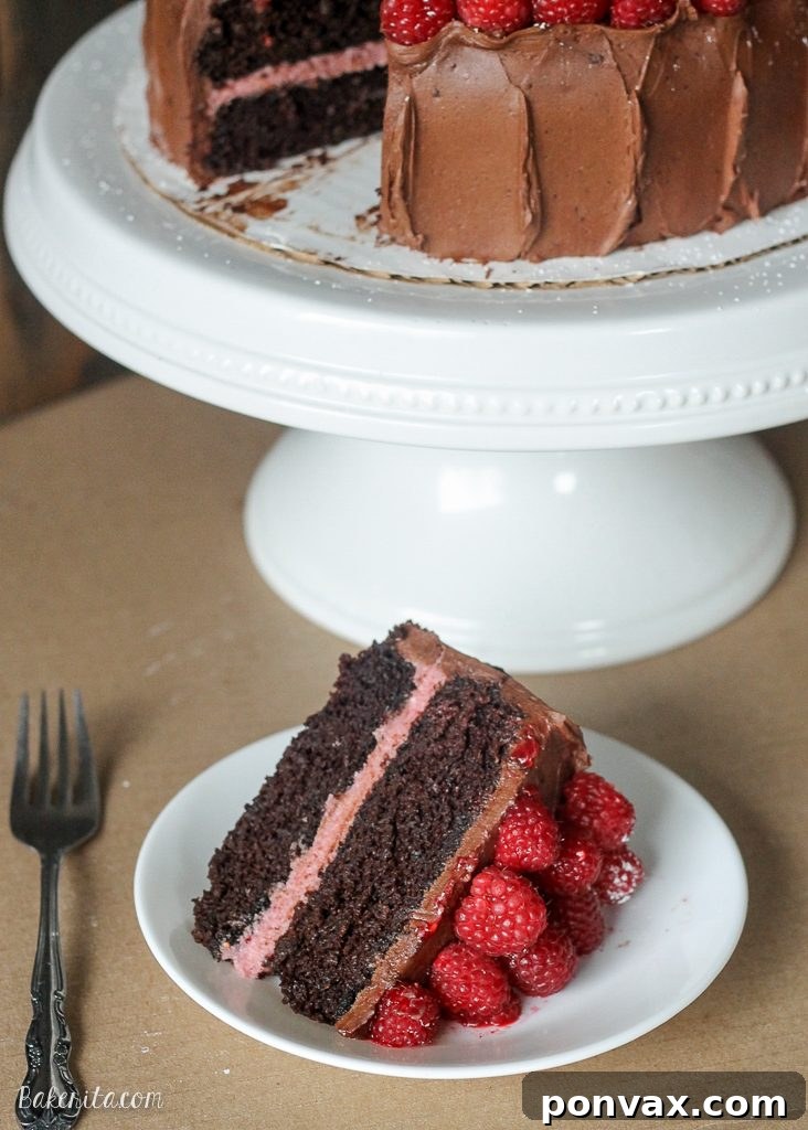Raspberry Mocha Delight 6 A high-angle shot of the Mocha Raspberry Cake, garnished with fresh raspberries and a light dusting of powdered sugar.