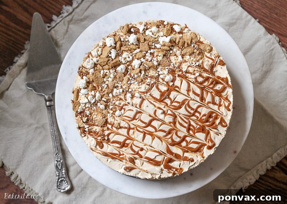 A vibrant, close-up overhead shot of the No-Bake Peanut Butter Dulce de Leche Cheesecake, featuring a decadent swirl of dulce de leche on top, with a scattering of crushed Nutter Butters and popcorn. The texture of the creamy filling and the contrasting crunch of the garnishes are clearly visible, inviting viewers to indulge.