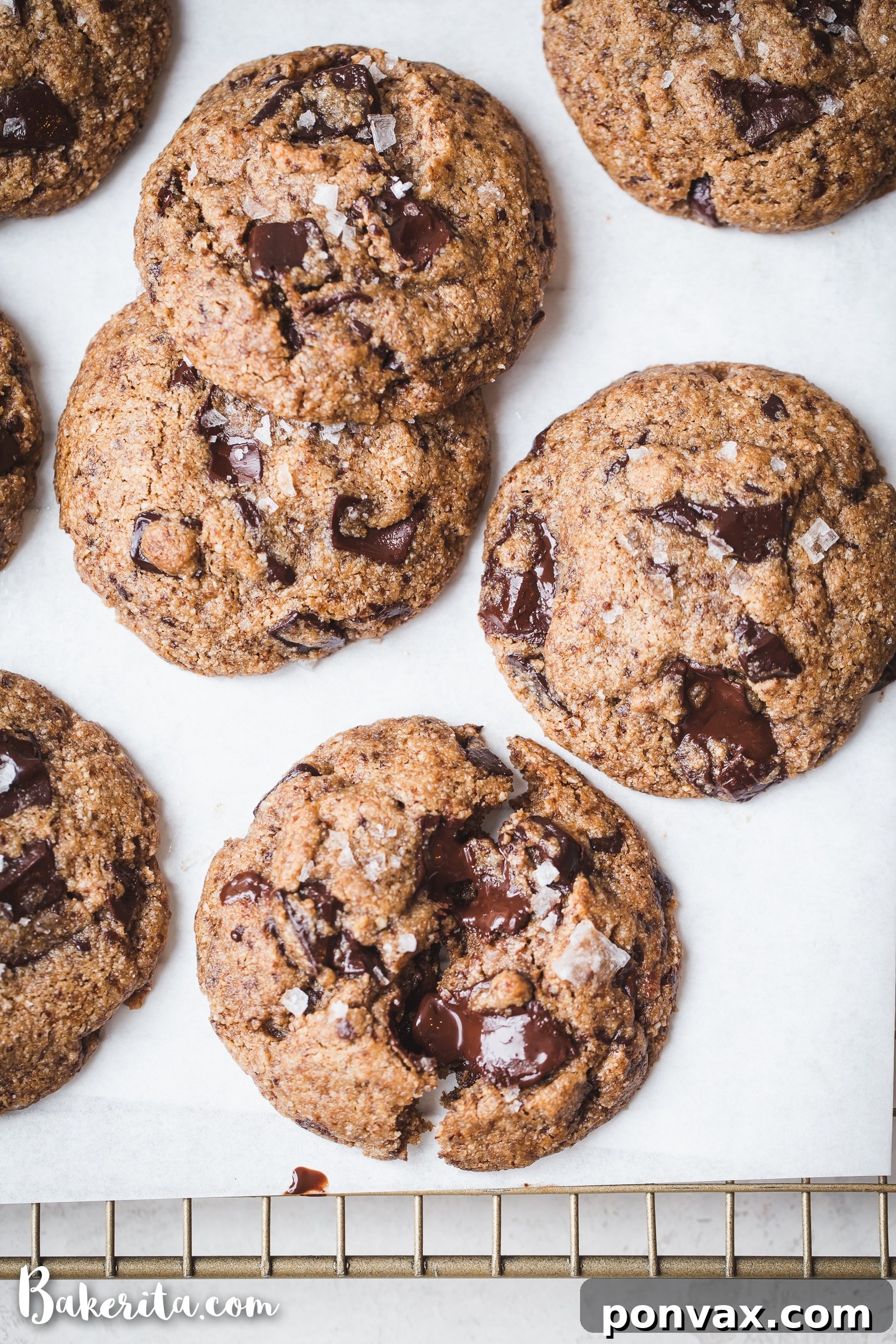 Irresistible Paleo Chocolate Chip Cookies Vegan Friendly 14 Baked paleo chocolate chip cookies on a parchment-lined baking sheet.