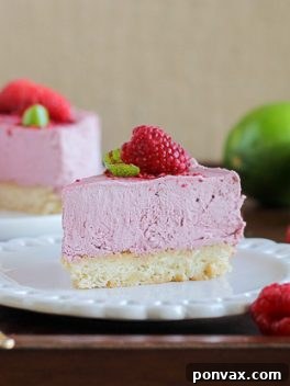 Vegan Raspberry Lime Cheesecake with Coconut Crust, a creamy and fresh dessert.