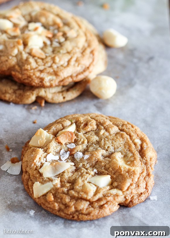 Handful of Macadamia Nuts and White Chocolate Chunks for Baking