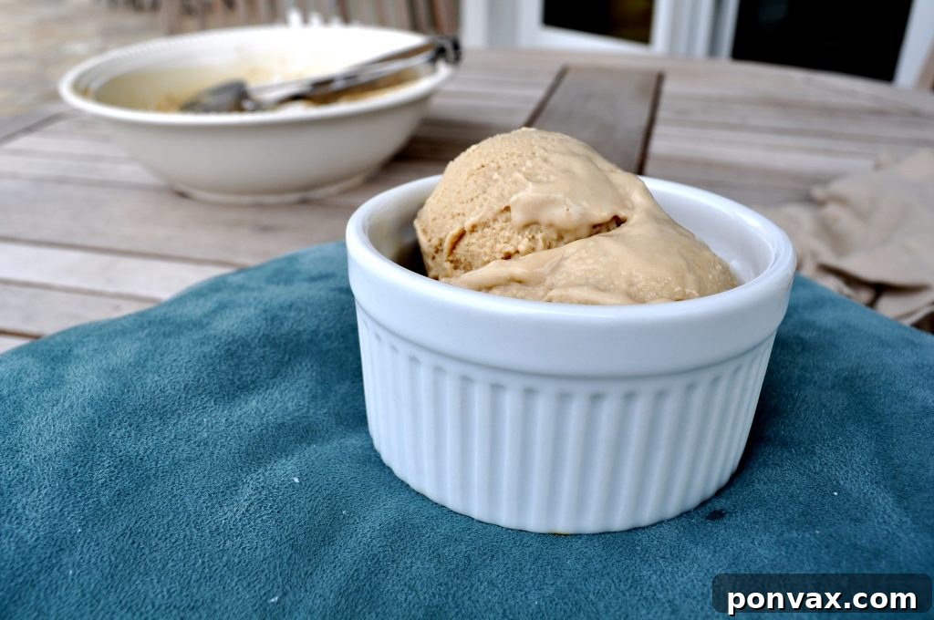 Delicious Coffee Gelato A scoop of homemade coffee gelato, creamy and rich, topped with coffee beans.
