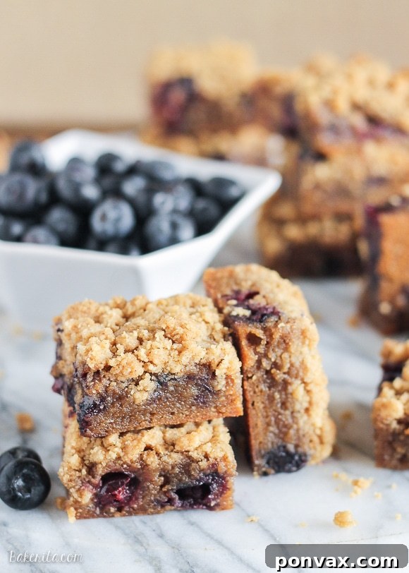 Overhead shot of Blueberry Crumb Blondies cooling in a baking pan