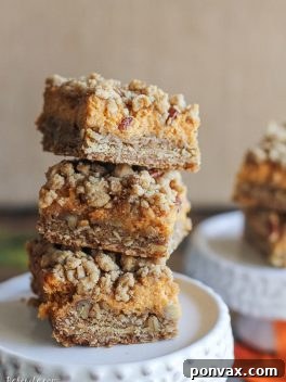 These Pumpkin Cheesecake Crumb Bars have a crumble crust full of oats and pecans with a creamy pumpkin cheesecake filling. This recipe is an irresistible fall treat!
