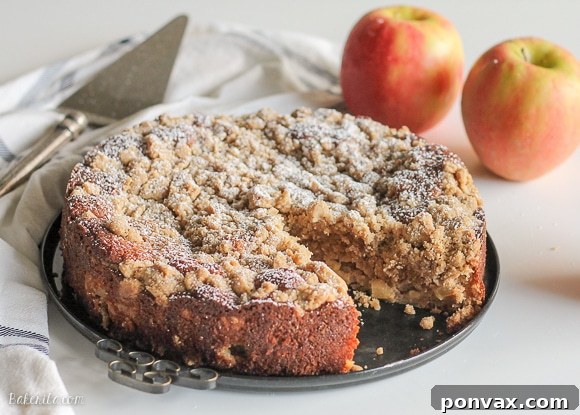 Spiced Apple Crumble Delight 3 This Apple Crumb Cake is full of warm spices, apple chunks, and Greek yogurt to keep it soft! This recipe has a super thick crumb layer and is a perfect fall cake.