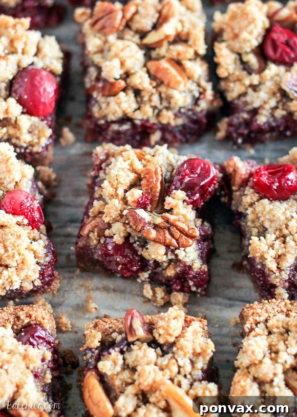 These Paleo Cranberry Crumb Bars use leftover cranberry sauce to make an irresistible gluten-free, refined sugar-free, and vegan dessert. The crumb mixture doubles as the crust and crumb topping.
