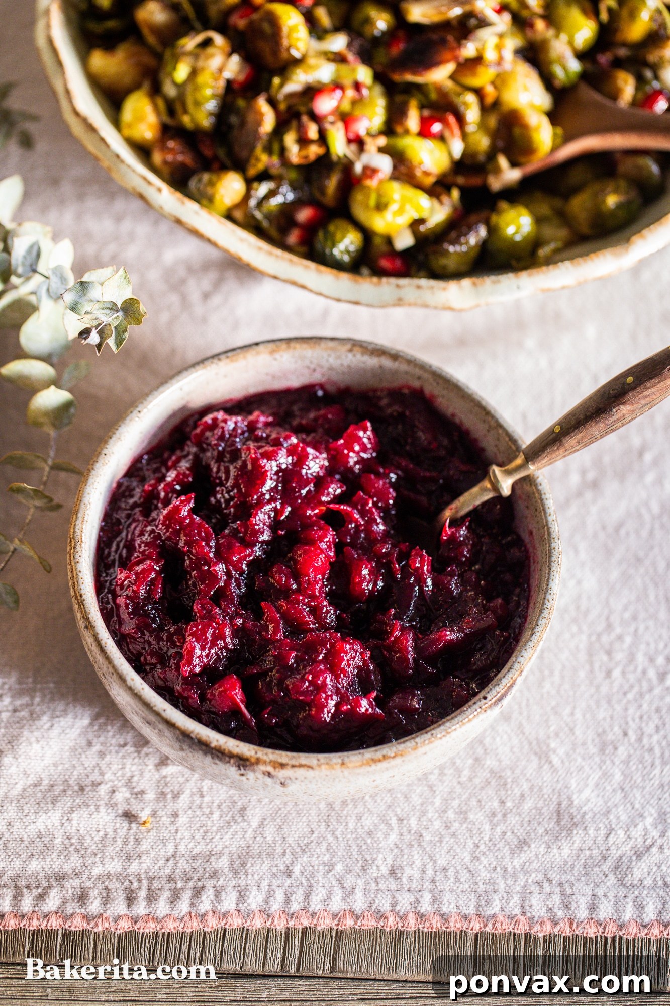 Naturally Sweetened Paleo Cranberry Relish 2 A beautifully presented bowl of healthy paleo cranberry sauce, garnished with fresh cranberries and orange slices, ready for a holiday meal.