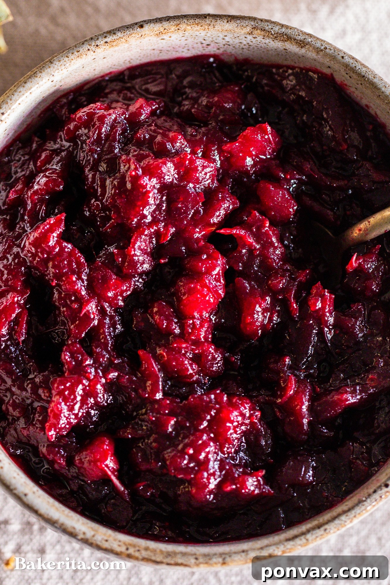 Naturally Sweetened Paleo Cranberry Relish 4 A close-up shot of a spoon scooping a generous portion of homemade paleo cranberry sauce from a rustic bowl, highlighting its chunky texture and rich color.