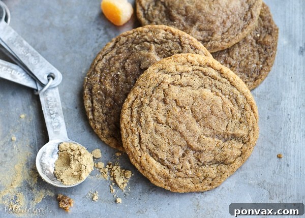 Close-up view of soft chewy ginger orange cookies with their appealing crinkled tops and inviting golden edges